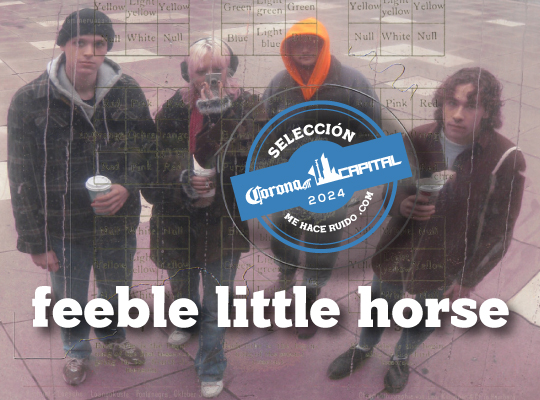 feeble little horse